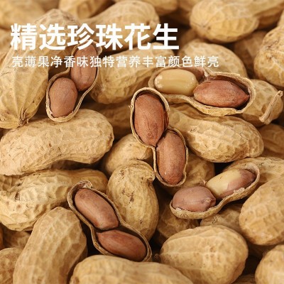 小珍珠陈皮花生带壳水煮炒熟批发新季多味坚果500g散装十斤伊食佳图2