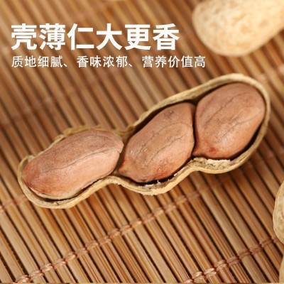 小珍珠核桃花生带壳水煮炒熟批发新季多味坚果零食散装十斤伊食佳图5