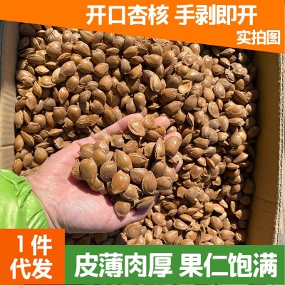 新疆特产开口杏仁250g 坚果手剥带壳 奶香味杏核炒货 干果供应图1