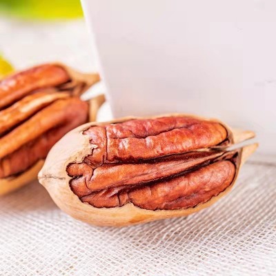 厂家批发碧根果网红零食坚果250g袋装手剥开口碧根果大果图4
