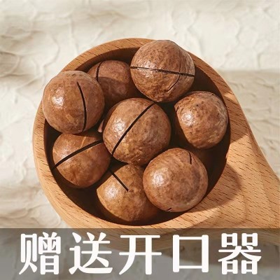 批发零食 夏威夷果250g袋装坚果零食每日坚果网红供货一件代发图2