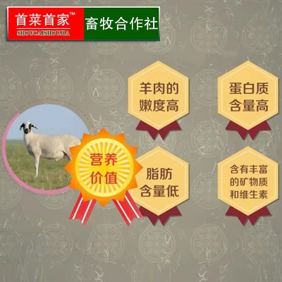 首菜首家内蒙苏尼特羔羊前腿1斤/件冷冻羊前腿烧烤羊原料图4