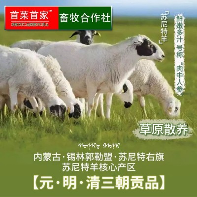 首菜首家内蒙苏尼特羔羊前腿1斤/件冷冻羊前腿烧烤羊原料图2