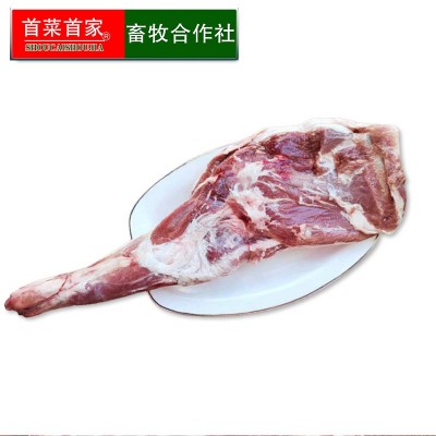 首菜首家 内蒙古羔羊前腿材1斤/件鲜羊肉烧烤食材羊腿工厂直供图5