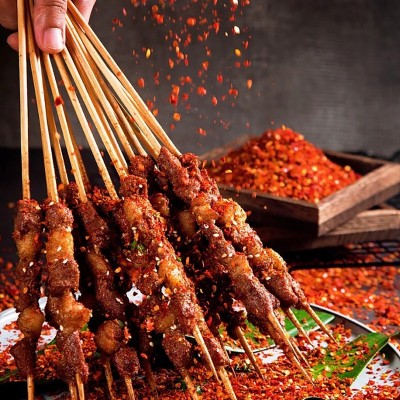淄博同款烧烤料韩式烤肉蘸料烧烤撒料炸串烤串烤肉户外用辣椒干碟图4