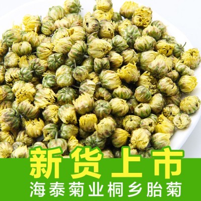 海泰新货桐乡胎菊批发 胎菊王散装杭白菊 菊花茶批发胎米产地直发图1