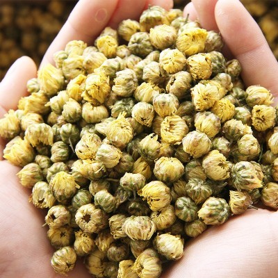 海泰新货桐乡胎菊批发 胎菊王散装杭白菊 菊花茶批发胎米产地直发图3