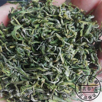 山东日照茶叶绿茶豆香型浓香型日照绿茶散装袋装茶叶批发清仓茶叶图2