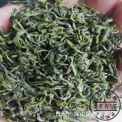 日照绿茶2023新茶散装板栗香炒青高山农家茶叶500g浓香型图3