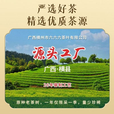 2023新茶横县茉莉花茶茉莉白龙珠浓香型茶叶厂家散装绿茶圆珠批发图2