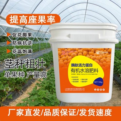 浓缩大豆酶肽蛋白催花膨果绿叶增产有机叶面肥植物营养促生长生根图2