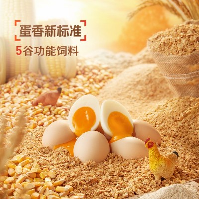 国虹鸡蛋礼盒可生食富硒30枚礼盒装员工福利实用礼品一件代发包邮图3