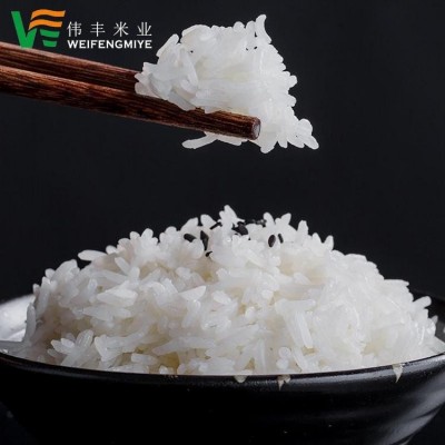 工厂大米批发配送 南方大米5kg 大米加工厂 饭堂用籼米 大米配送批发图3