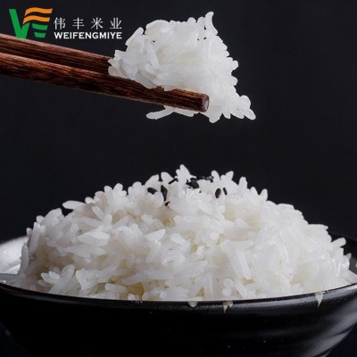 佛山有机米批发 包装大米优长粒香米煲仔饭食堂餐厅学校适用籼米图4