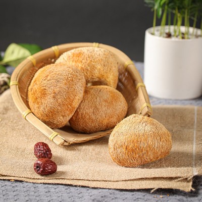 【集采】猴头菇干货200g蘑菇煲汤猴头菌茹补胃食材包邮图2