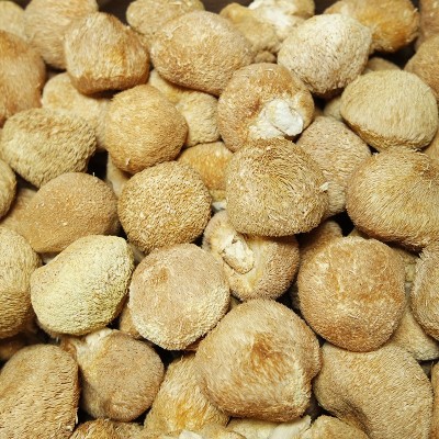 福建古田猴头菇干货散装10斤厂家批发干鲜食材去蒂养胃猴菇猴头菌图3