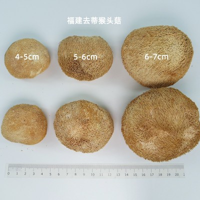 福建古田猴头菇干货散装10斤厂家批发干鲜食材去蒂养胃猴菇猴头菌图6