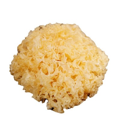 厂家批发福建古田银耳干货散装毛重10斤食用菌大花干银耳糯白木耳图4