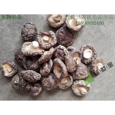 香菇板菇2.0-3.0cm 菇世宝品牌 香菇脚，单双剪 菇脚片 丁丝图2