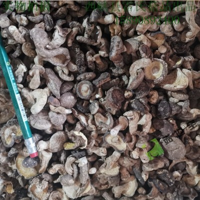 小香菇未剪腿带脚菇西峡农家特产菇香浓郁干货产地直销厂商适用图3