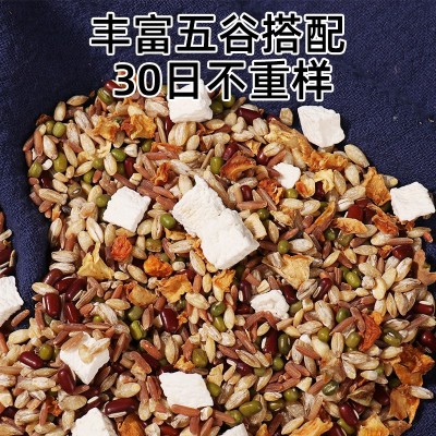 厂家代发30日五谷杂粮粗粮粥料包早餐熬粥煲汤小袋礼盒装 八宝粥图3