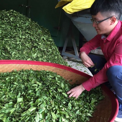 乌龙茶 福建特产 武夷山大红袍 厂家批发 散装茶叶 2023 年春茶图5