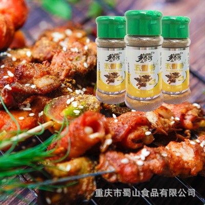厂家乡奇珍五香粉30g/瓶蒸炖卤煮烧烤调味香料2022新品代发批发图2
