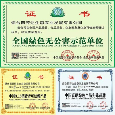 烟台黄金帅苹果 厂家种植粉面糯香果型均匀 果园采摘黄元帅苹果图2