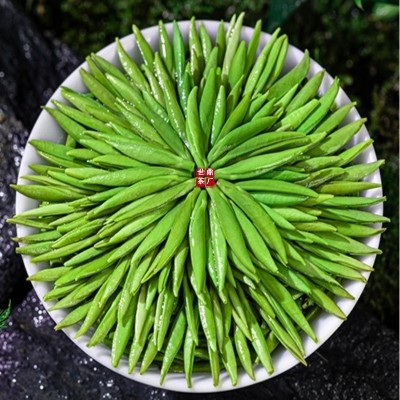 竹青叶雀舌新茶2023特级绿茶四川峨眉山明前单芽散装批发 龙芽翠芽图3