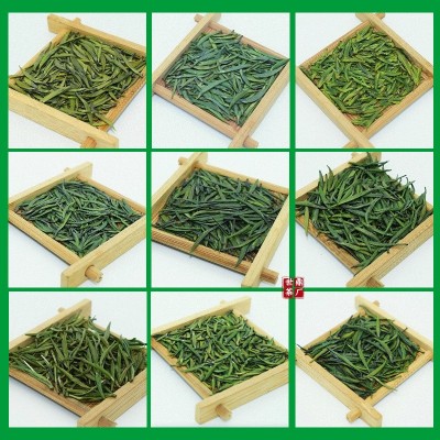 竹青叶雀舌新茶2023特级绿茶四川峨眉山明前单芽散装批发 龙芽翠芽图2