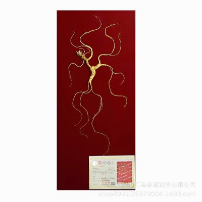 长白山野山参东北人叁移林下参干人参人生干礼盒泡酒国检证书送礼图4