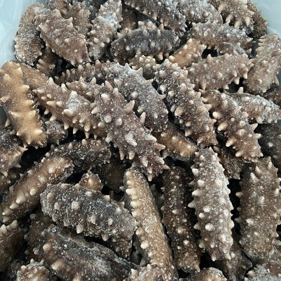福建霞浦即食海参佛跳墙原料13-15头500g袋装现货辽刺参即食海参图3