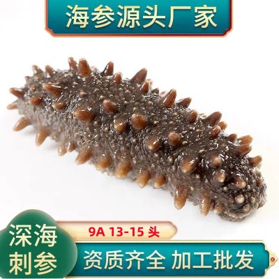 福建霞浦即食海参佛跳墙原料13-15头500g袋装现货辽刺参即食海参图1