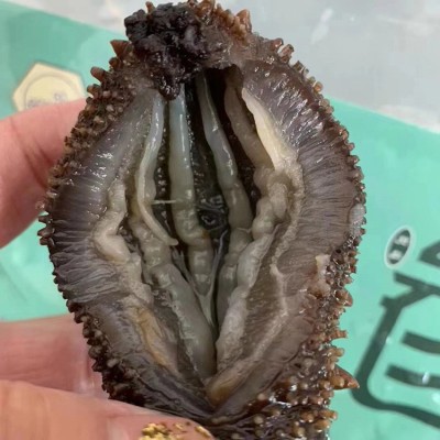 福建霞浦即食海参佛跳墙原料13-15头500g袋装现货辽刺参即食海参图4