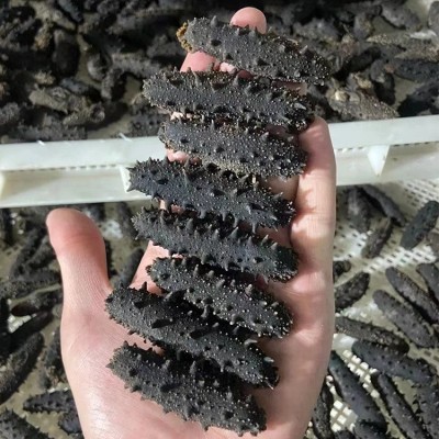 工厂批发深海辽刺参 滋补淡干A级大连干货非即食礼盒海参图2