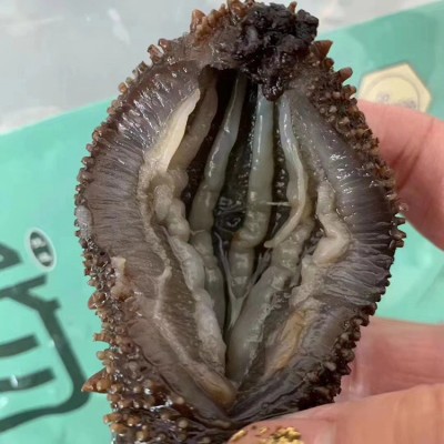 定制新鲜即食海参辽刺参佛跳墙原料 13-15头500g海参源头厂家批发图4