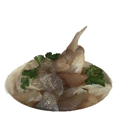 渔民批发珊瑚海蜇皮鲜脆五斤桶装海蛰非即食凉拌菜花点海蜇皮海鲜图4