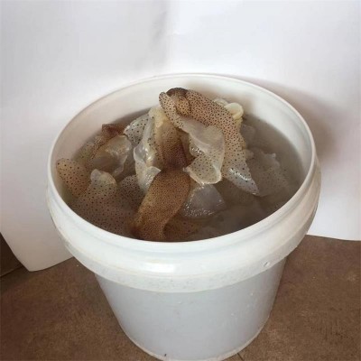 渔民批发珊瑚海蜇皮鲜脆五斤桶装海蛰非即食凉拌菜花点海蜇皮海鲜图3