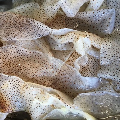 批发海蜇皮产地源头直供花点珊瑚海蜇丝凉拌菜20斤桶装海蜇海鲜图3