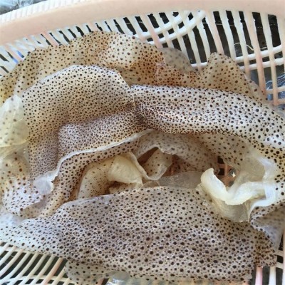 批发海蜇皮产地源头直供花点珊瑚海蜇丝凉拌菜20斤桶装海蜇海鲜图2