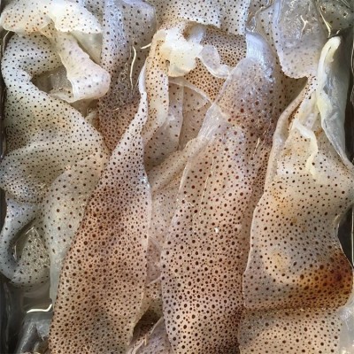 批发海蜇皮产地源头直供花点珊瑚海蜇丝凉拌菜20斤桶装海蜇海鲜图1