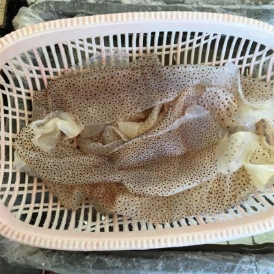 批发海蜇皮产地源头直供花点珊瑚海蜇丝凉拌菜20斤桶装海蜇海鲜图4