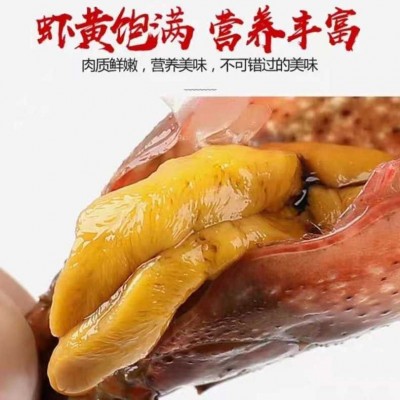 现货鲜活小龙虾批发湖北淡水养殖小龙虾酒店餐厅监利青红稻田龙虾图4