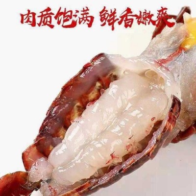 批发活小龙虾鲜活水产湖北清水活虾盱眙小龙虾稻田虾海鲜青虾包邮图3