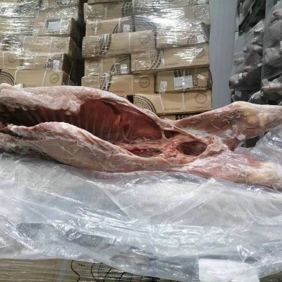 新西兰进口128带骨小牛肉胴体 新鲜冷冻牛肉批发 进口牛肉批发图3