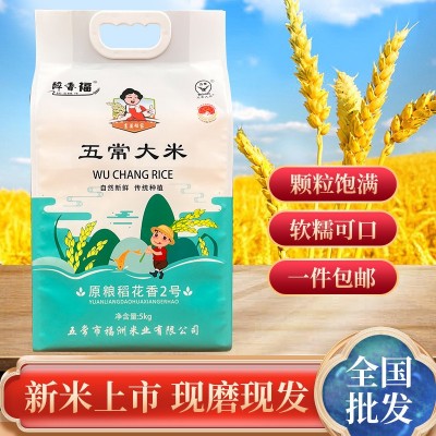 现货五常大米东北特产大米真空五斤十斤装大米稻花香大米批发图1