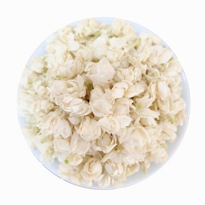 2023广西横县茉莉花干 茉莉雪球 全开花大花蕾厂家散装花草茶批发图5
