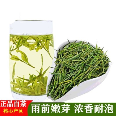 年新茶产地绿茶优质春茶 安吉绿茶白茶袋装高山茶叶散装500克图1