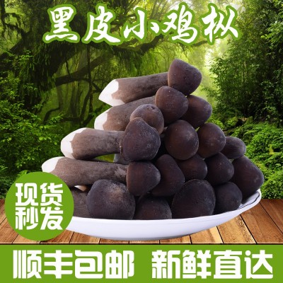 产地销售云南特产黑皮鸡枞菌新鲜鸡枞菌农产品食用菌煲汤食材图1