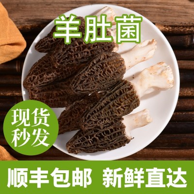 云南特产2023新鲜羊肚菌礼盒包装汤包精品仿野生蘑菇鲜货菌汤煲图1